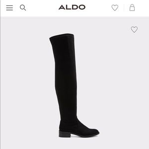 ALDO Over the Knee Suede Boots
